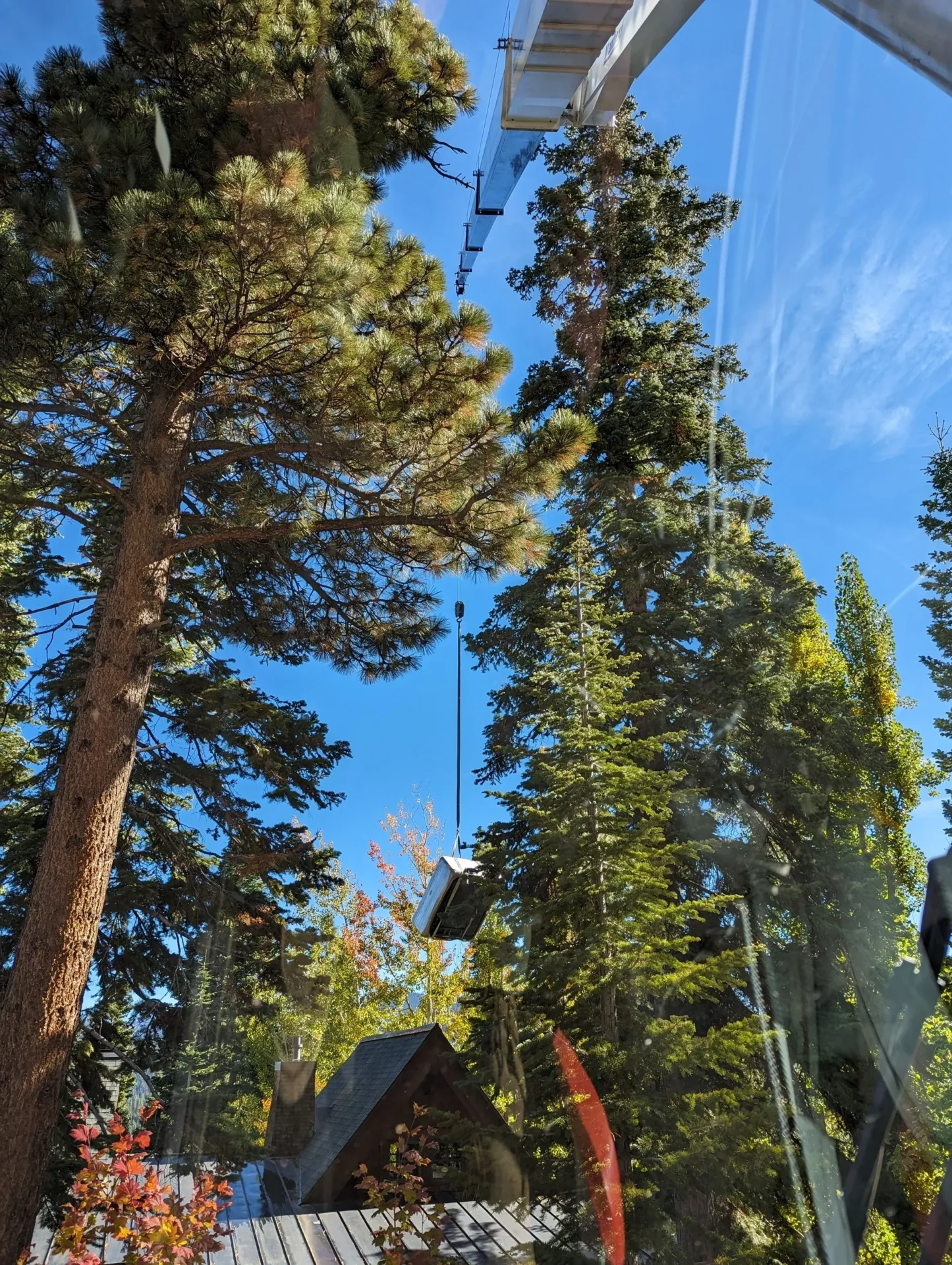 A person is on the crane in the forest.