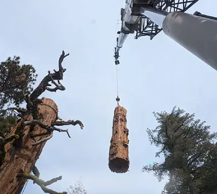 A crane lifting a wooden sculpture from the ground.